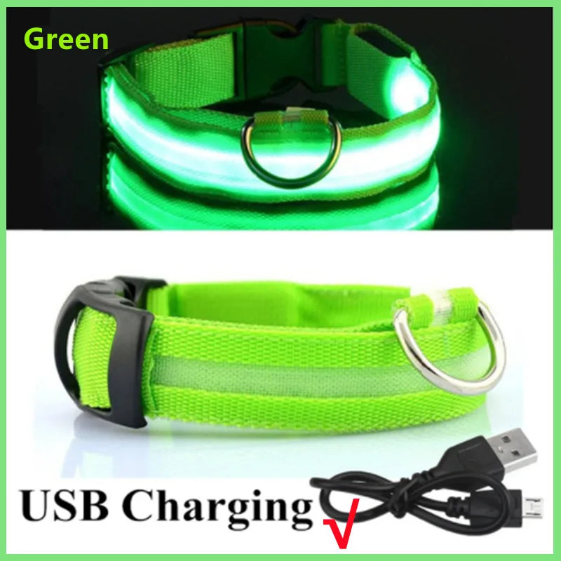 LED Glowing Dog Collar Adjustable Flashing Rechargea Luminous Collar Night Anti-Lost Dog Light Harnessfor Small Dog Pet Products