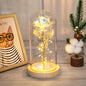 Rose Light Artificial Galaxy Rose Lamp with Butterfly and Colorful LED Rose Flowers in Glass Battery Powered Gifts for Wedding